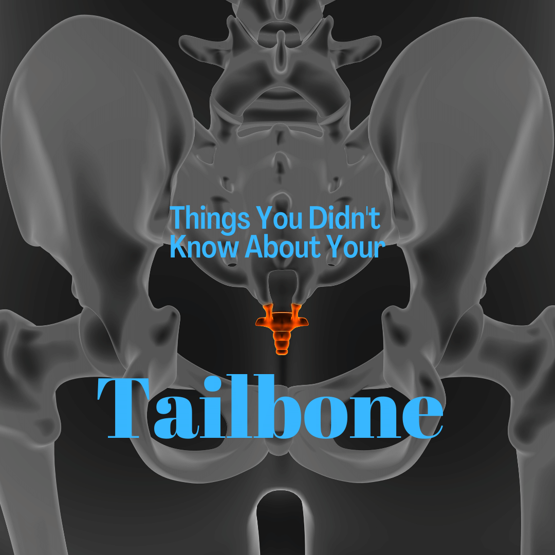 Things You Didn't Know About Your tailbone
