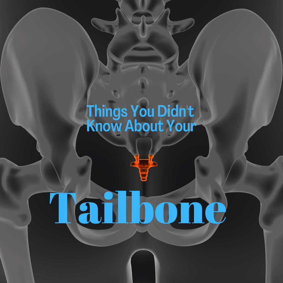 Things You Didn t Know About Your Tailbone New Jersey Comprehensive 