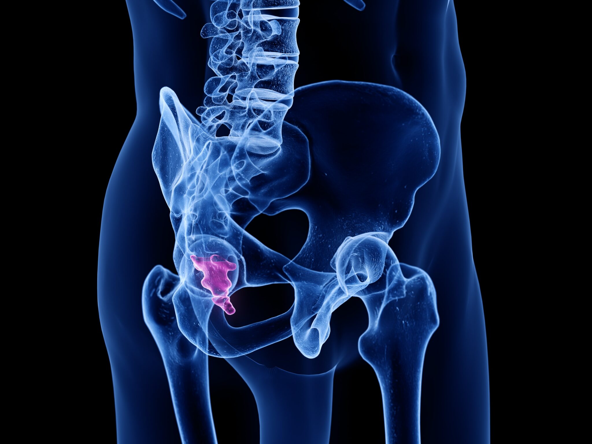 Things You Didn't Know About Your Tailbone | Comprehensive Spine Care