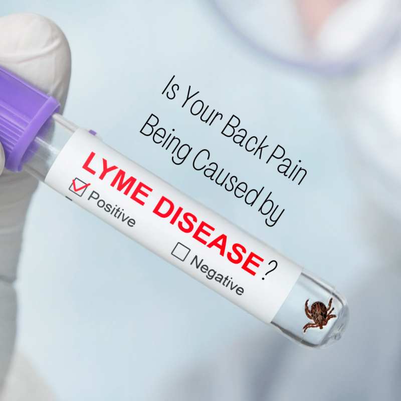 Is Your Back Pain Being Caused by lyme disease