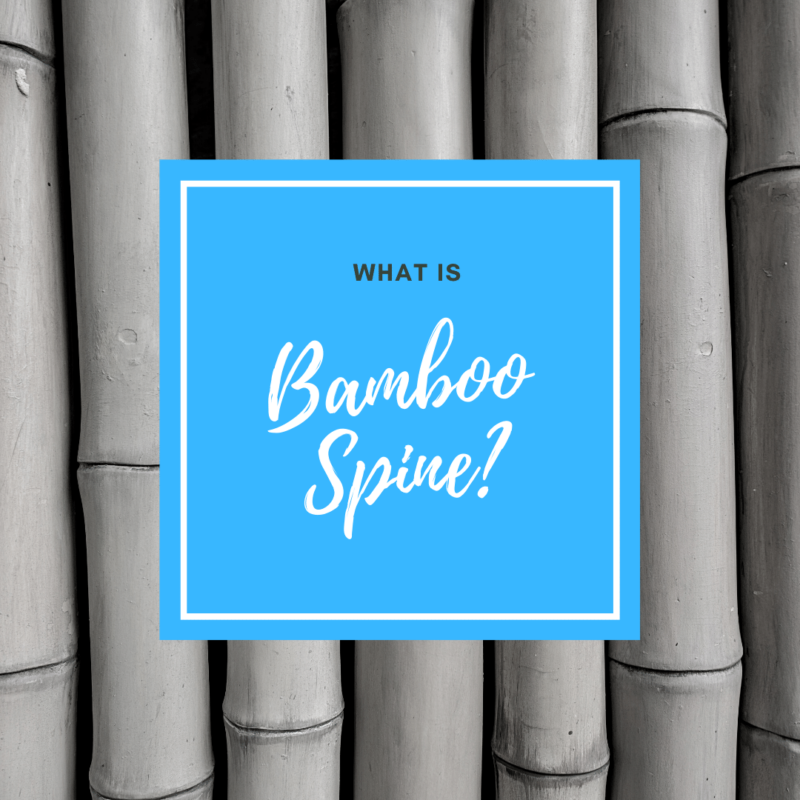 What is bamboo spine